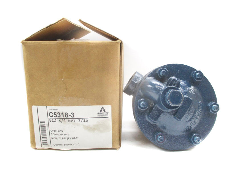 ARMSTRONG C5318-3 812 70PSI 3/4" NSMP