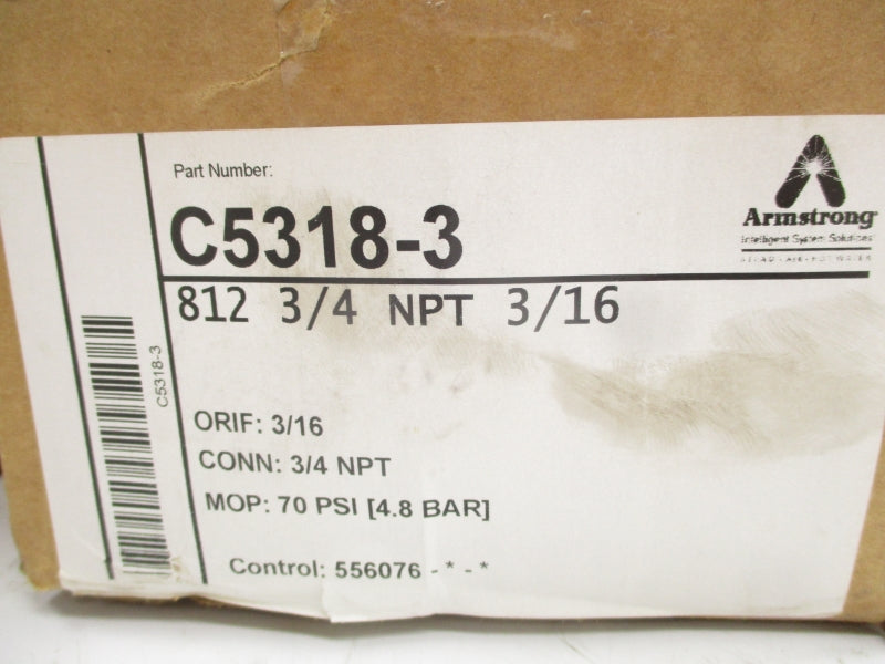 ARMSTRONG C5318-3 812 70PSI 3/4" NSMP