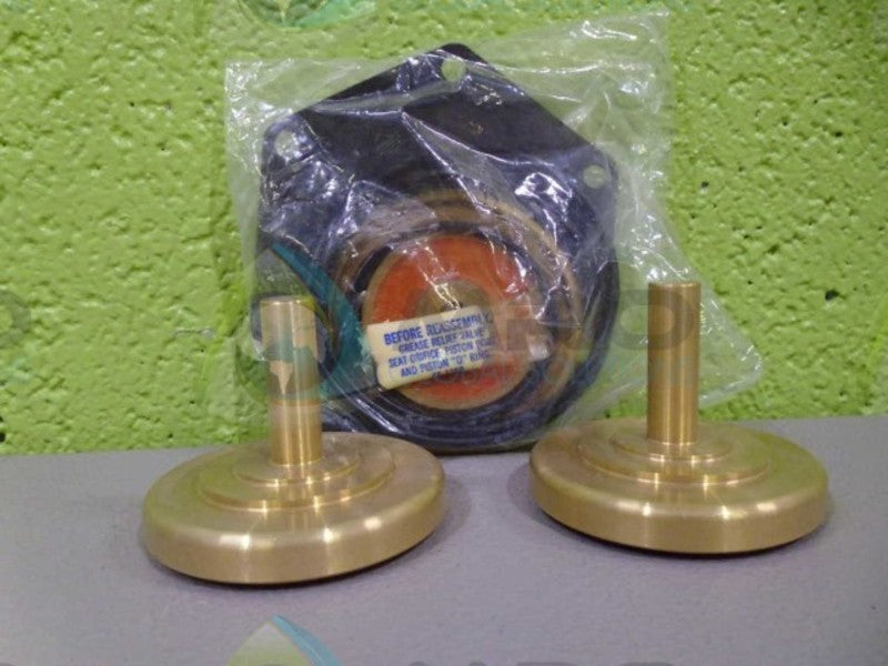 WATTS RK 909M1RT REPAIR KIT *NEW IN BOX*