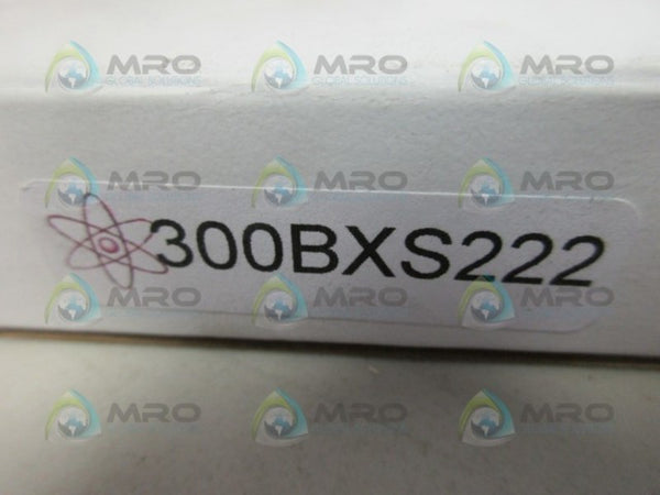 300BXS222 NSMP