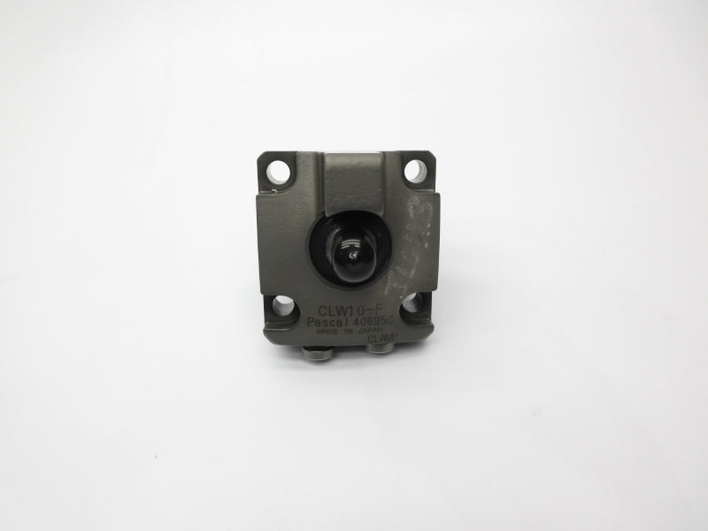 PASCAL CLW10-F NSNP