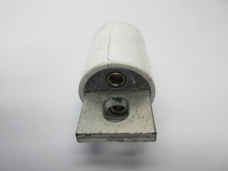 BUSSMANN FWX-100A 250V 100A NSMP