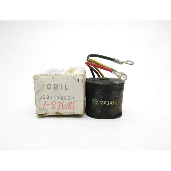 GENERAL ELECTRIC 22D145G002 NSMP