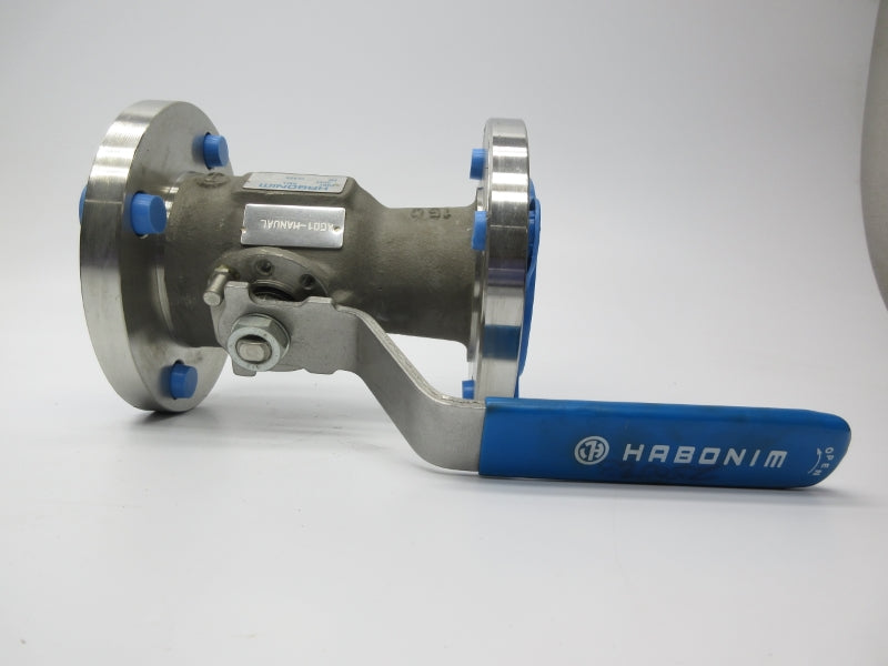 HABONIM 31P-6666TT/150 2" NSNP