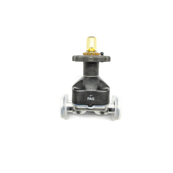 ITT 1-316L-RA20MAX-CWP150 1" NSNP