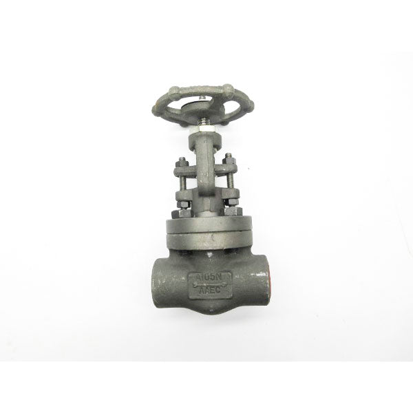 BONNEY FORGE HL31-LE 207507-0004 1975PSI 1" NSNP