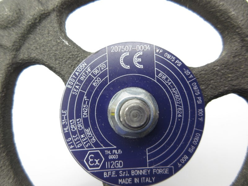 BONNEY FORGE HL31-LE 207507-0004 1975PSI 1" NSNP