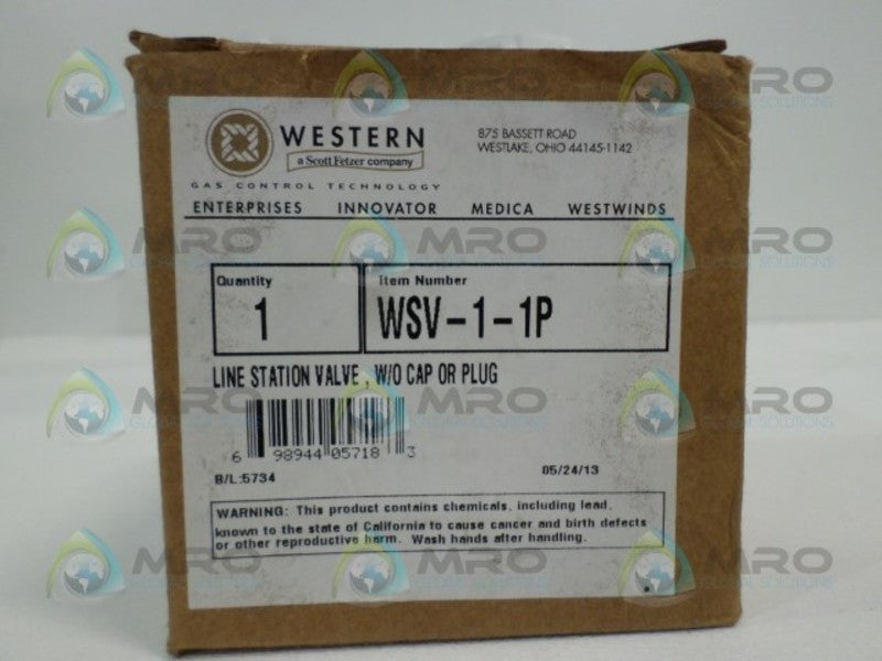 WESTERN ENTERPRISES WSV-1-1P LINE STATION VALVE  NSMP