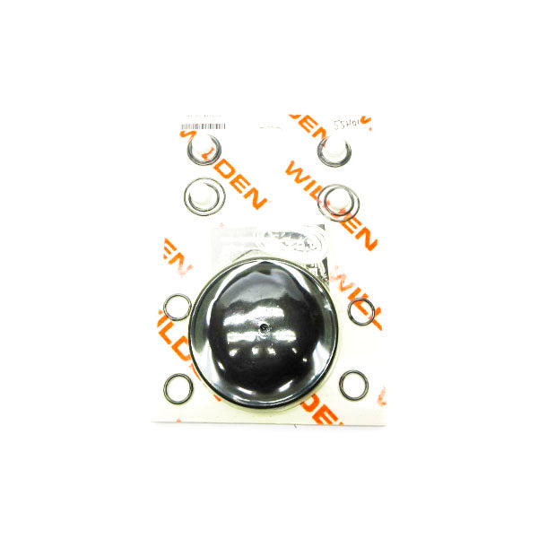 WILDEN WIL-02-9805-55 1" NSMP