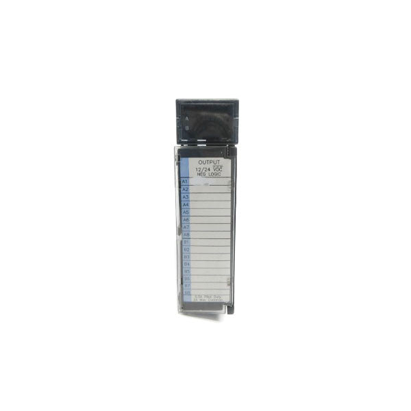 FANUC IC693MDL741E 12/24VDC 0.5A NSNP