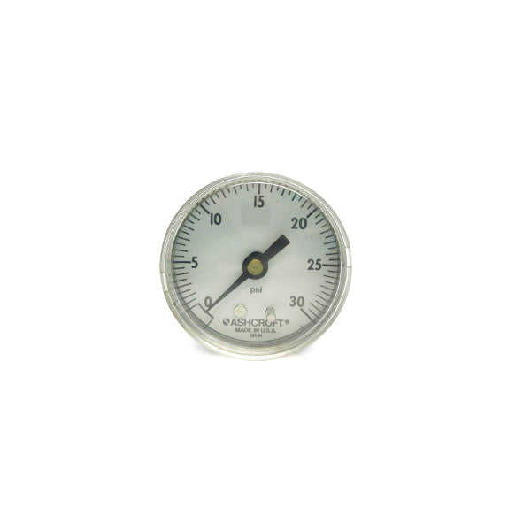 ASHCROFT 595-04 0-30PSI NSNP