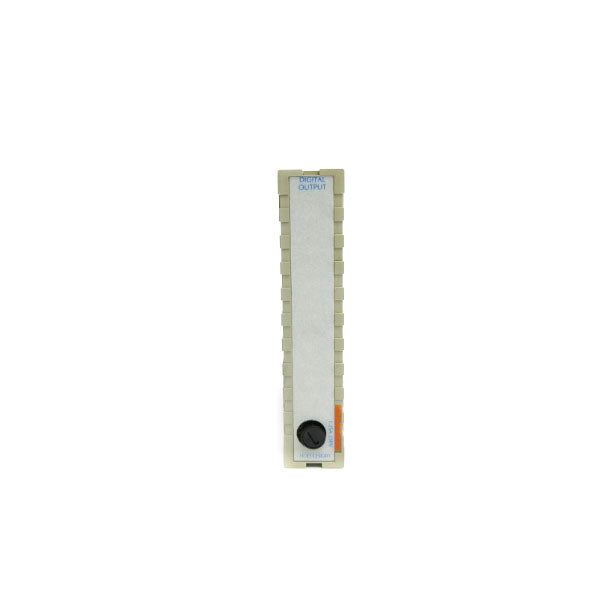 WESTINGHOUSE 1C31125G01 NSNP