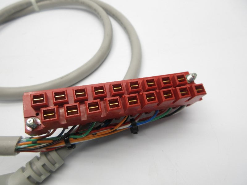 ALLEN BRADLEY 1492-CABLE010C SER. C NSNP