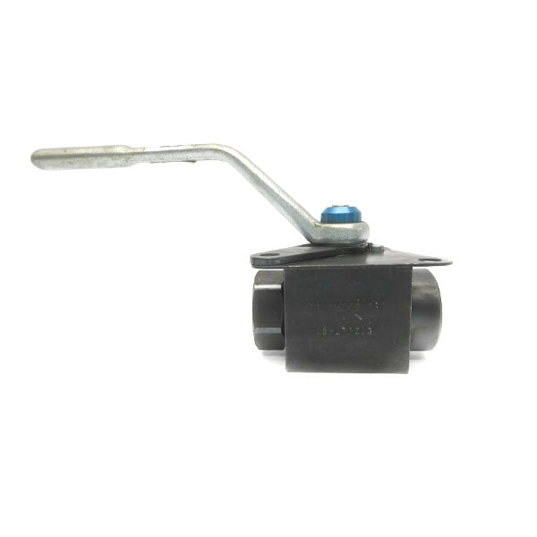 PARKER BVH0750S 6000PSI NSNP