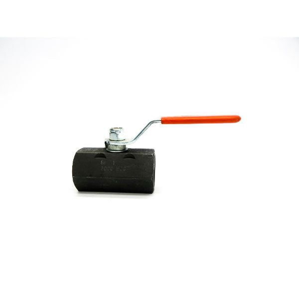 DYNAQUIP 2000WOG 1" NSNP