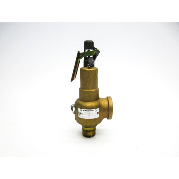 KUNKLE 6010FEM01-AM0015 15PSI 1" UNMP