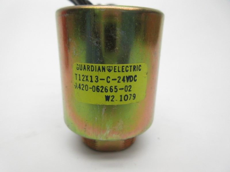 GUARDIAN ELECTRIC A420-062665-02 T12X13-C-24VDC 24VDC NSNP