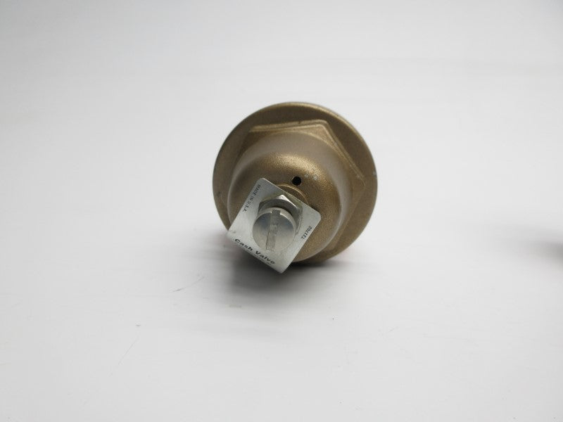 CASH VALVE A16 250PSI 1/4" NSNP