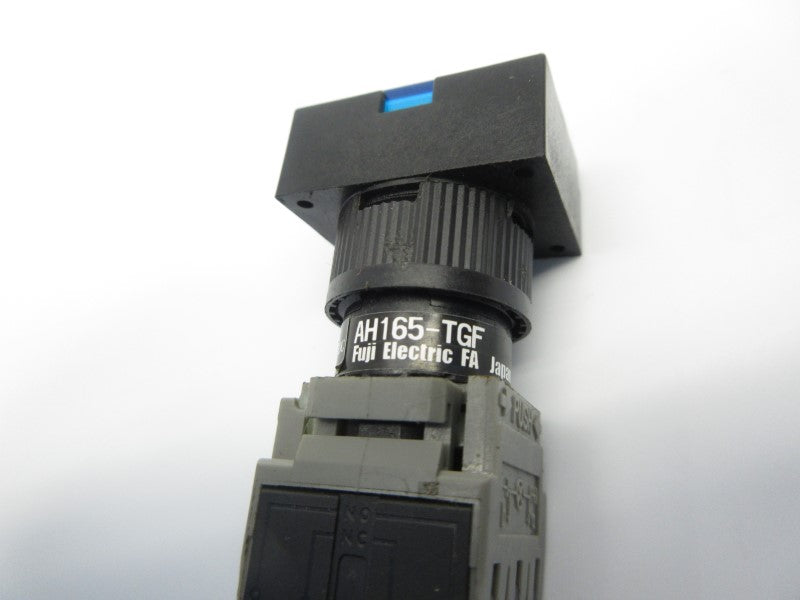 FUJI ELECTRIC AH165-TGF 250VAC 5A NSNP