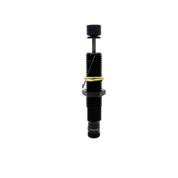 ECO OEM.25MB 121208 NSNP