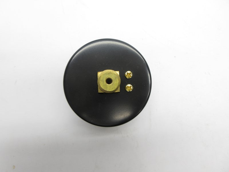 AMETEK 163285 160PSI 2-1/2" NSMP