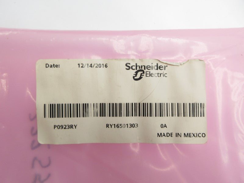 SCHNEIDER ELECTRIC P0923RY REV. 0A NSMP