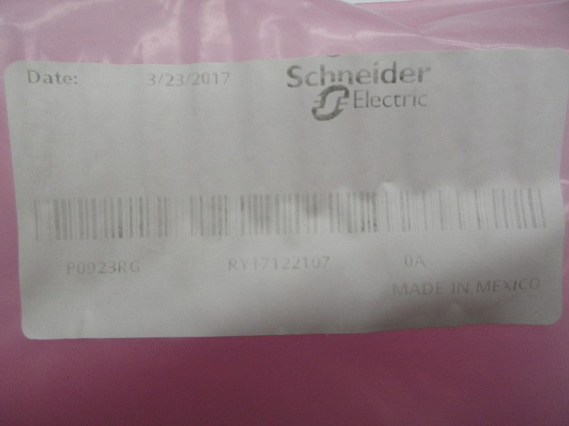SCHNEIDER ELECTRIC P0923RG REV. 0A NSMP