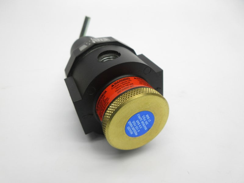 WATTS R11-03C/M3 300PSI 3/8" NSMP