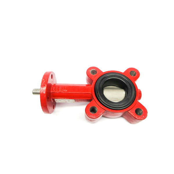 BRAY A536 250PSI 2" NSNP