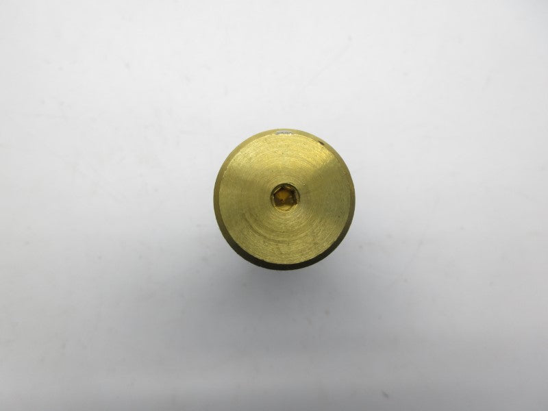 MAXON 31 NSNP