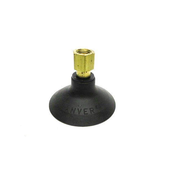ANVER F77 NSNP