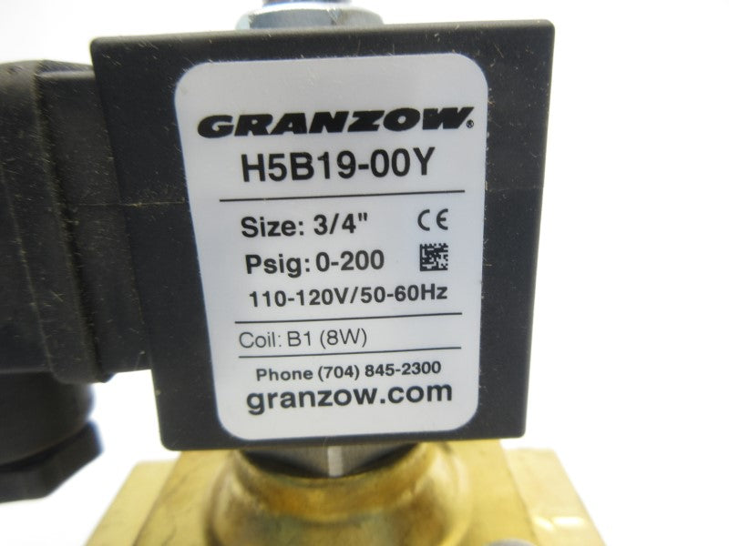GRANZOW H5B19-00Y 110-120V 3/4" NSNP