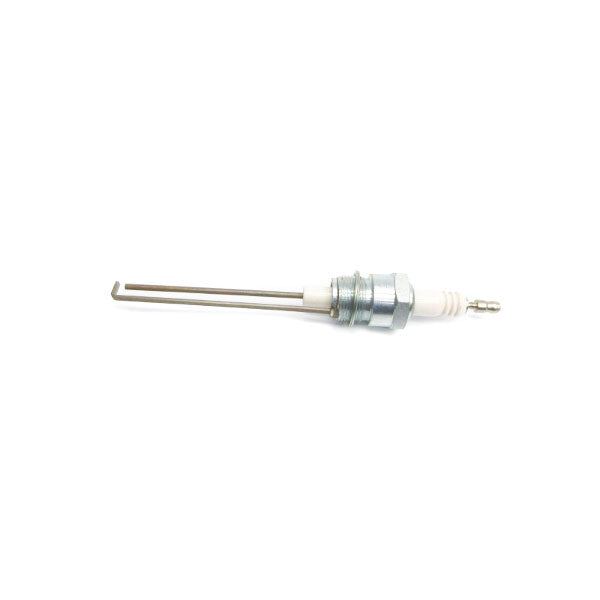 MAXON 19407 NSNP