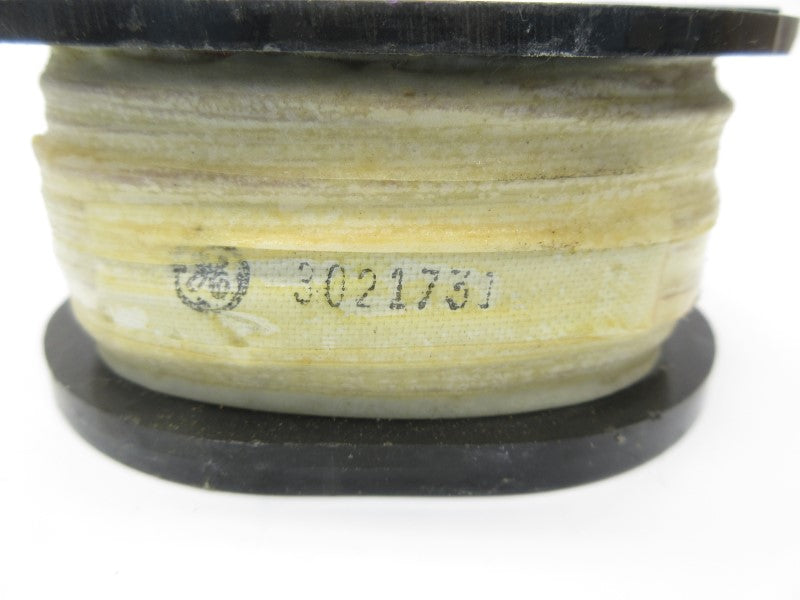 GENERAL ELECTRIC 3021731 NSNP