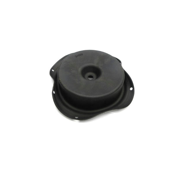 DIAPHRAGM 24698 NSNP