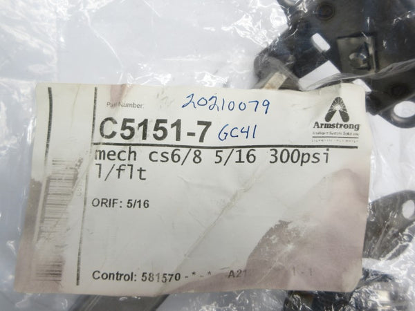 ARMSTRONG C5151-7 300PSI NSMP