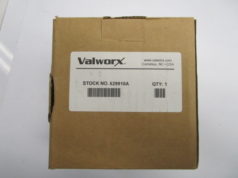 VALWORX 529910A 250VAC 3A NSMP