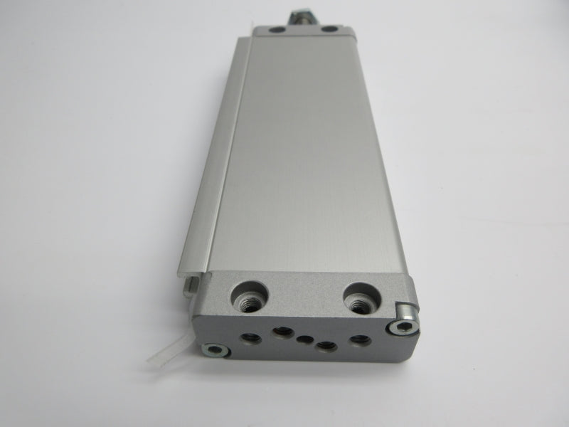 FESTO DZF-25-100-A-P-A 161255 NSNP