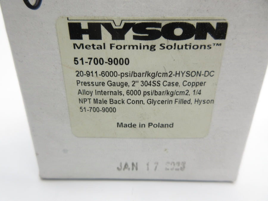 HYSON 51-700-9000 6000PSI 2" NSMP