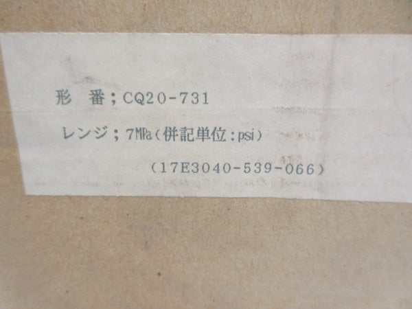 NAGANO KEIKI CQ20-731 NSMP