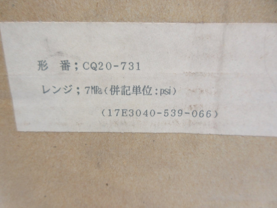 NAGANO KEIKI CQ20-731 NSMP