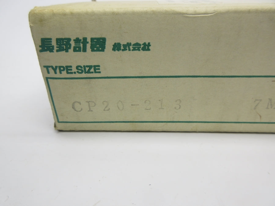 NAGANO KEIKI CP20-213 250VAC 5A NSMP