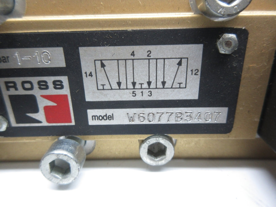 ROSS W6077B3407 110-120V NSNP