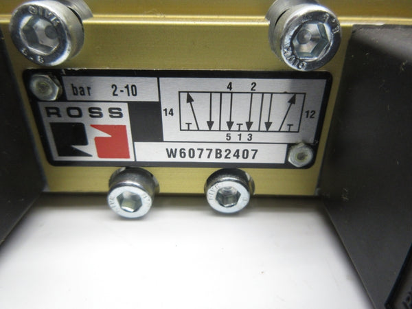 ROSS W6077B2407 100-110/100-120V NSNP