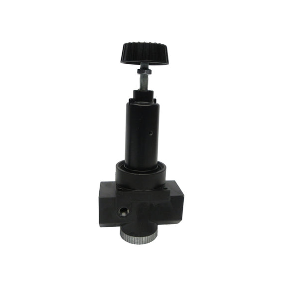 WILKERSON R30-06-000 300PSI NSNP