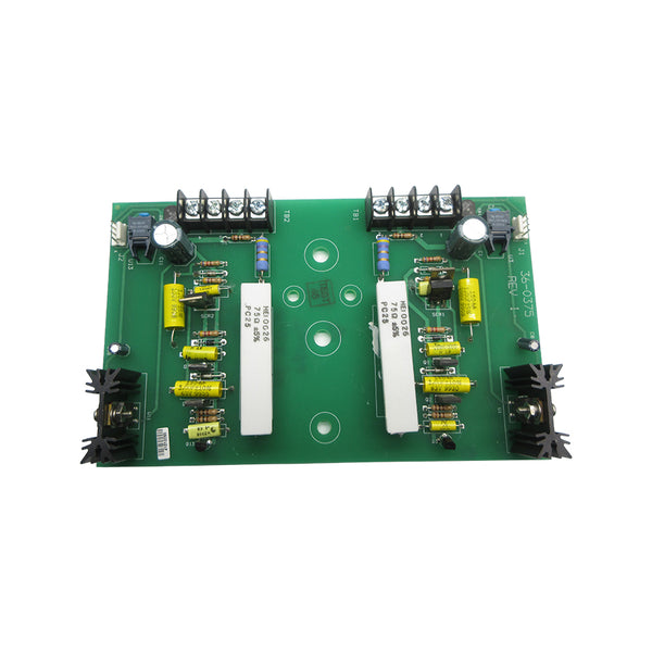 MODULE 36-0375 REV. 1 NSNP