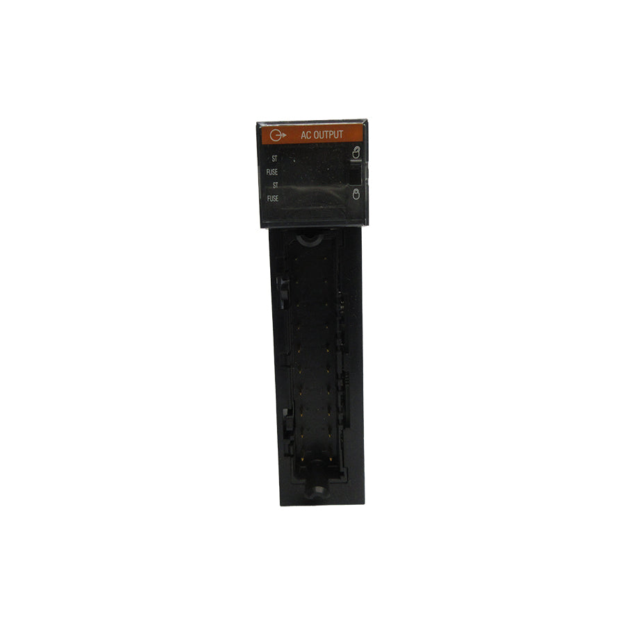 ALLEN BRADLEY 1756-OA16 SER. A F/W 3.2 24VDC (NO DOOR) NSNP
