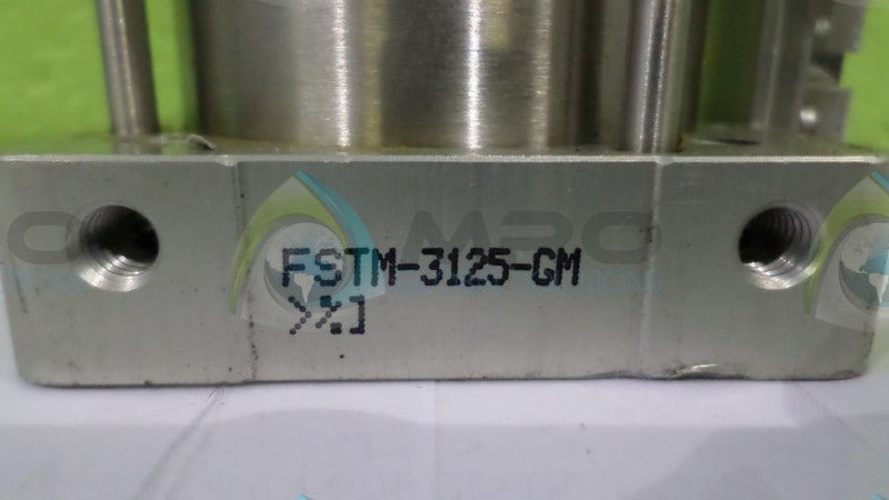 BIMBA FSTM-3125-GM CYLINDER NSNP