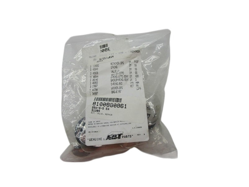 CAT PUMP 31285 VALVE KIT  NSMP