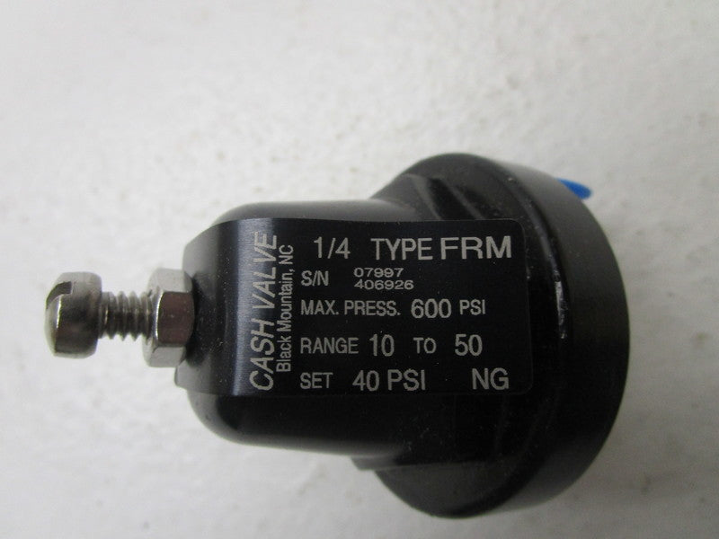 CASH VALVE TYPE FRM CHECK VALVE 1/4" 10-50 PSI  NSNP